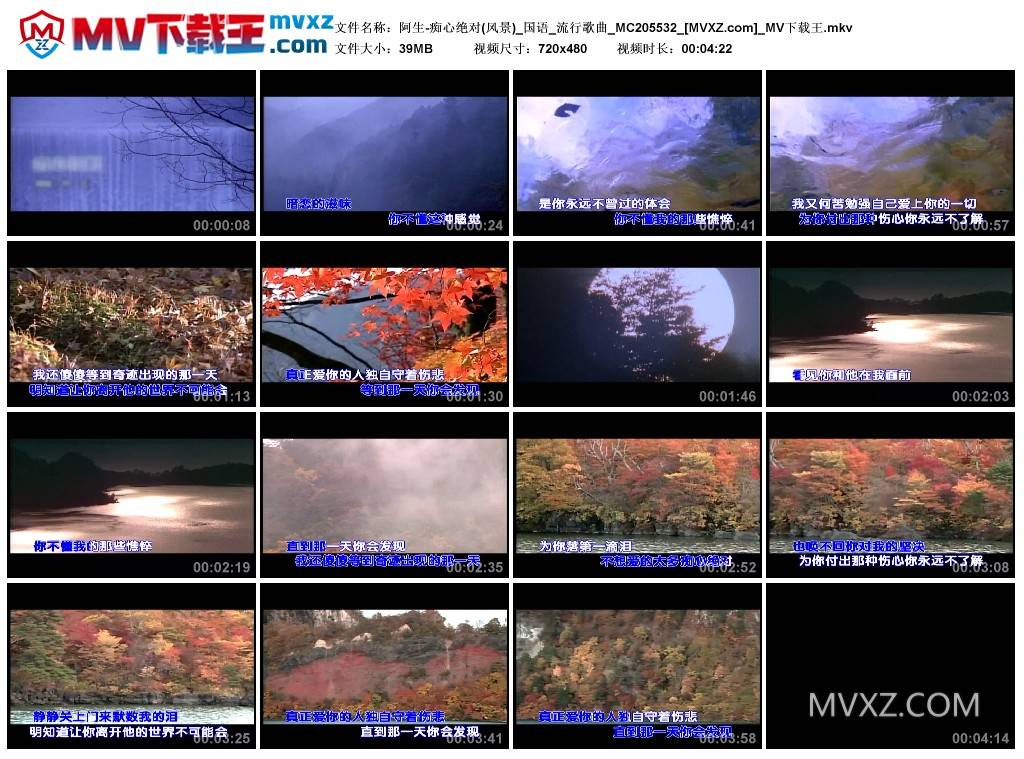 阿生-痴心绝对(风景)_国语_流行歌曲_MC205532